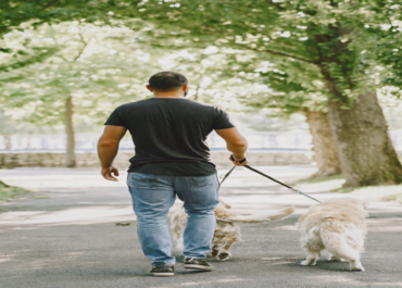 Passeador de cachorro no Morumbi