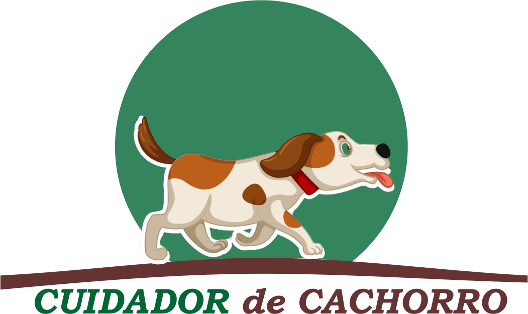 passeador de cachorro no Morumbi