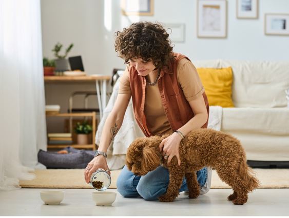 Razões para ter uma babá de cachorro