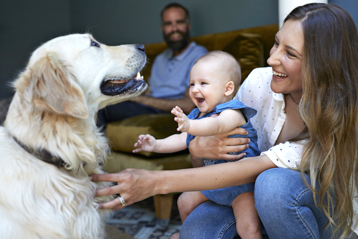 Cachorro e bebê