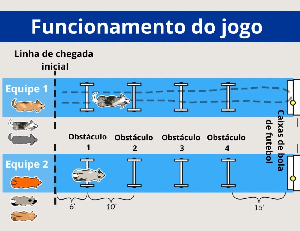 Fyball funcionamento