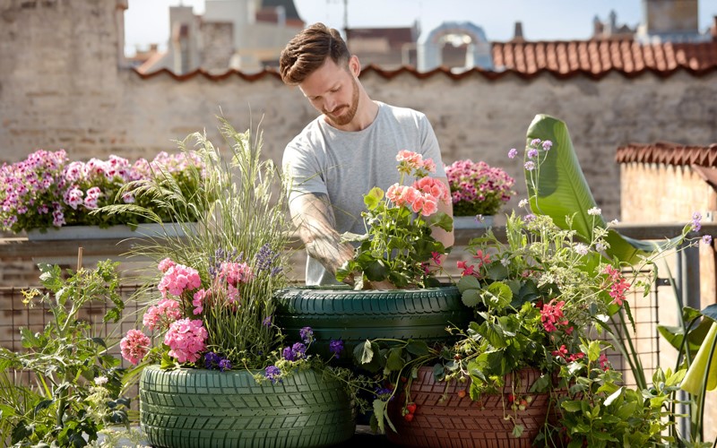 Jardinagem para animais de estimação