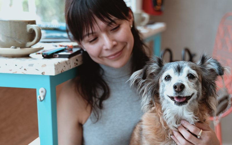 Medicina Holística para Animais de Estimação