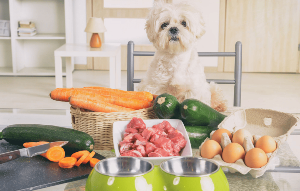 Alimentação natural melhor alimentação cachorro