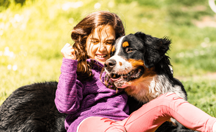 Bernese com criança abraçando