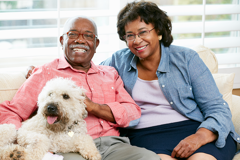 Casal feliz interagindo com seu cachorro