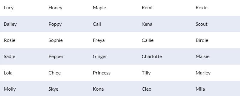 Lista Nomes de cadelas mais populares parte 2