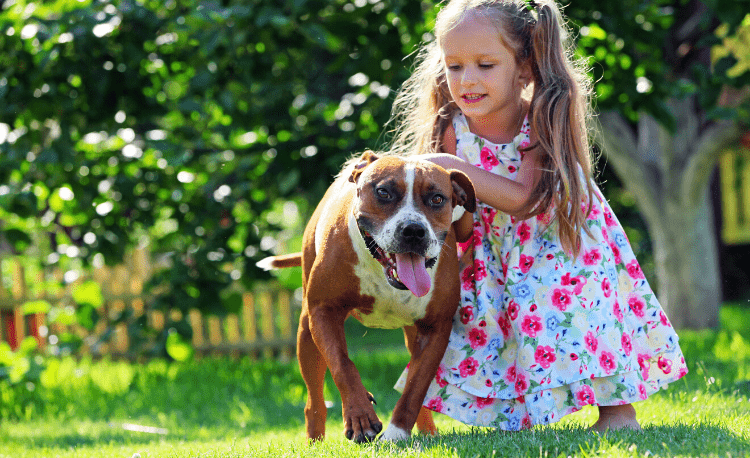 Staffordshire Bull Terrier com menina no quintal