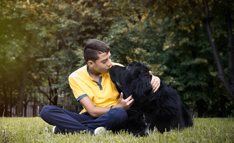 Terra-Nova Raças de Cães para Crianças com Autismo