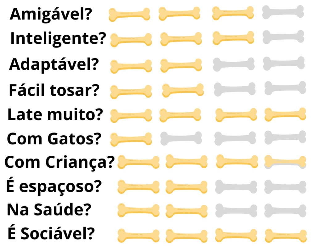 Caracteristicas-Fisicas-Cachorro-Samoieda