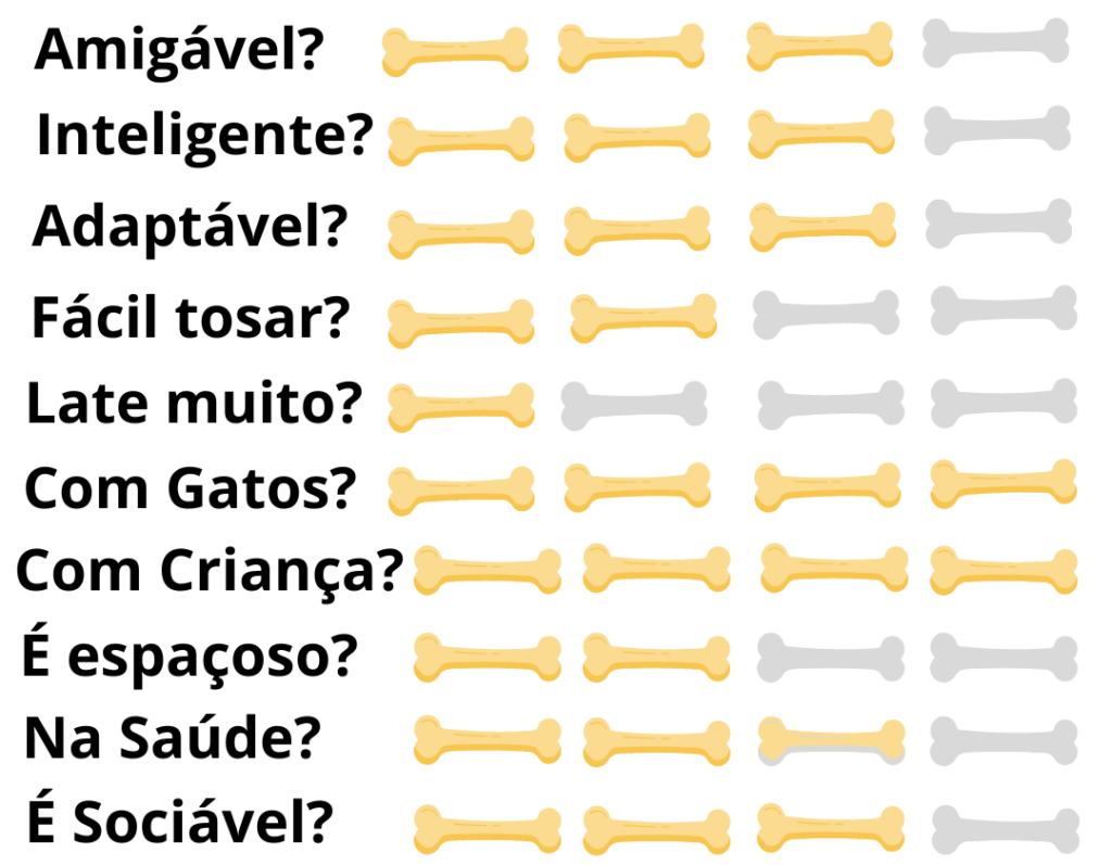 Caracteristicas-Fisicas-Cachorro Terra Nova