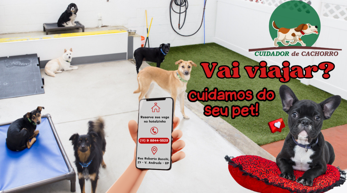 Hotel para cachorro em SP