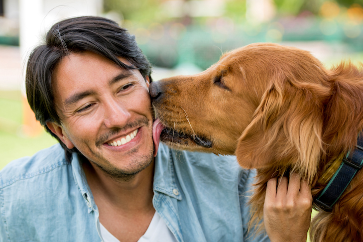 Cachorro feliz com a chegada do dono