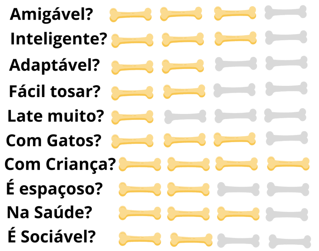 Cópia de Caracteristicas-Fisicas-Cachorro-Greyhound