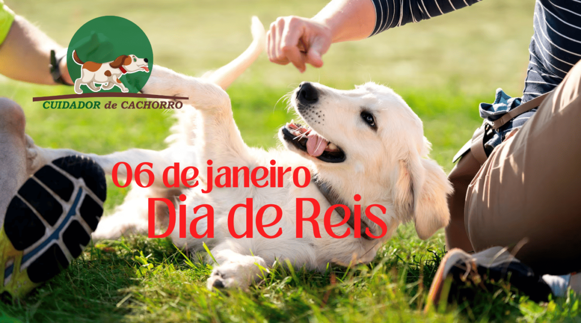 Dia de Reis com seu cachorro