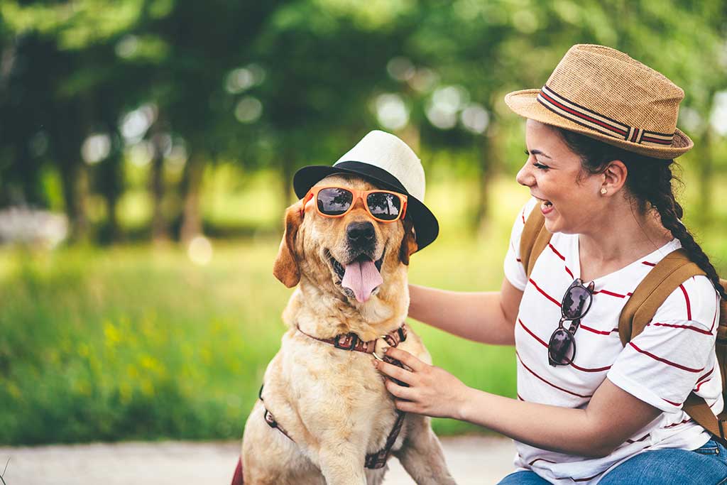 Dia de Reis com seu cachorro