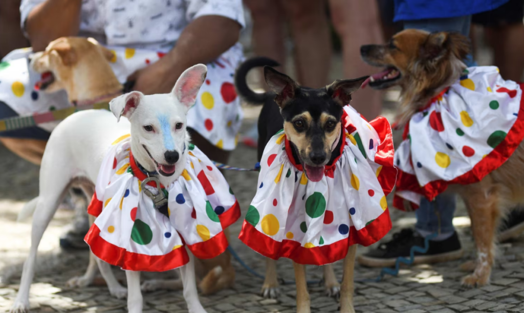 Cachorros fantasiados tomam conta do Carnaval do Rio