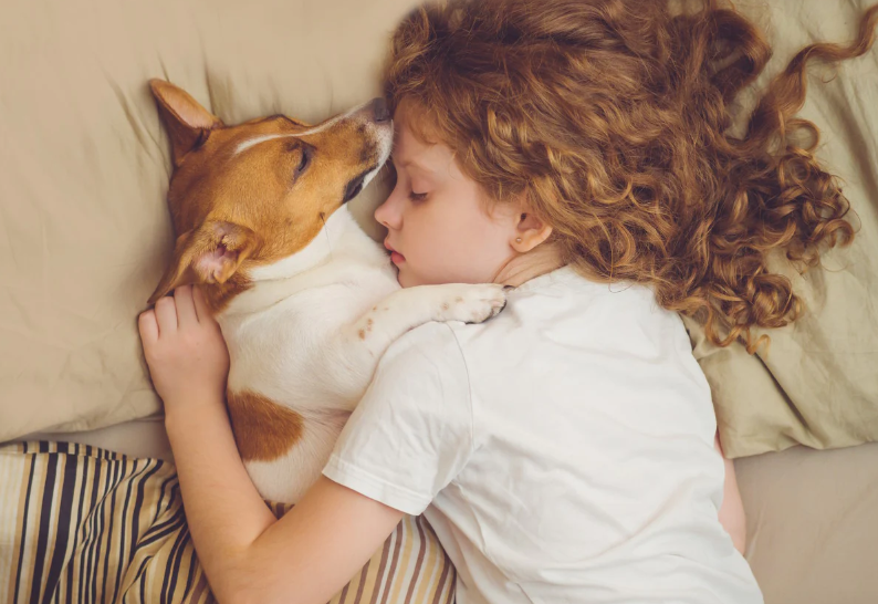 Menina dormindo com cachorro
