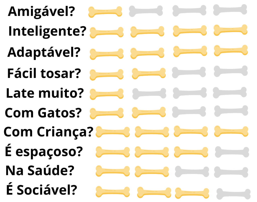 Caracteristicas-Fisicas-Cachorro-Pastor-Australiano