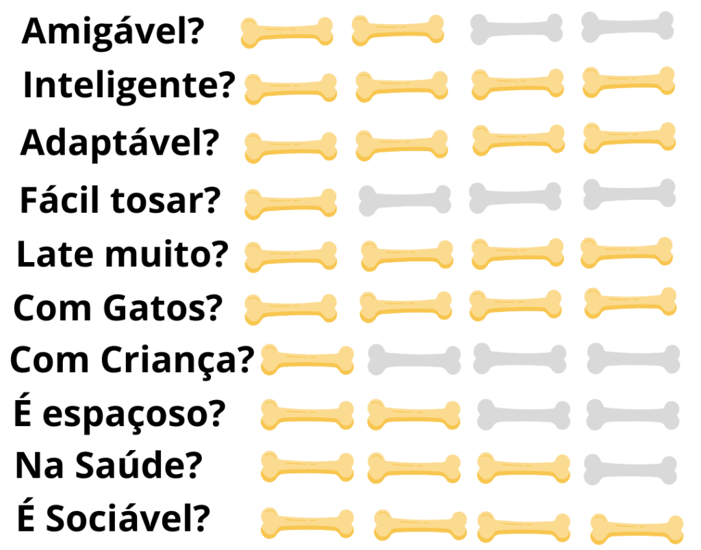 Caracteristicas-Fisicas-Chihuahua