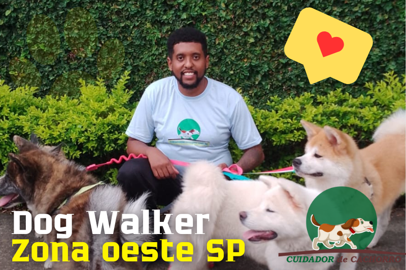 Dog Walker Zona Oeste de SP