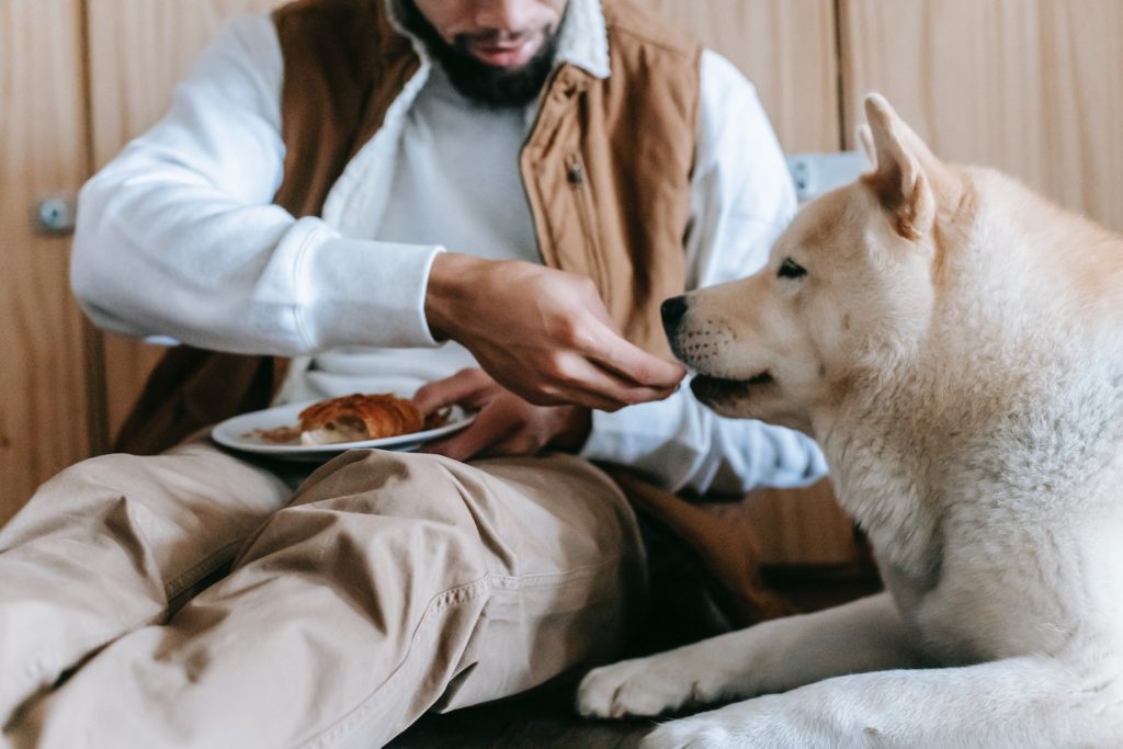 Homem dá comida a um cão em ambiente aconchegante