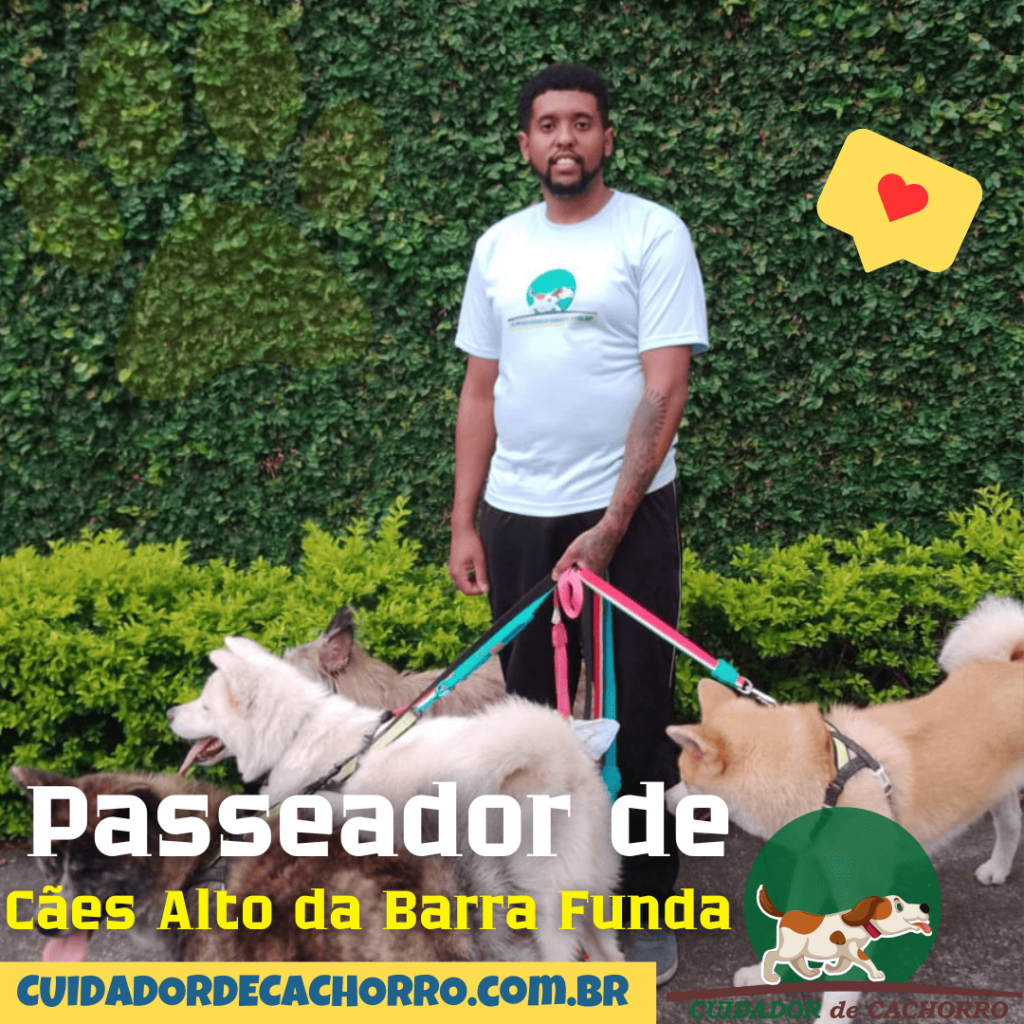 Passeador de Cães Alto da Barra Funda