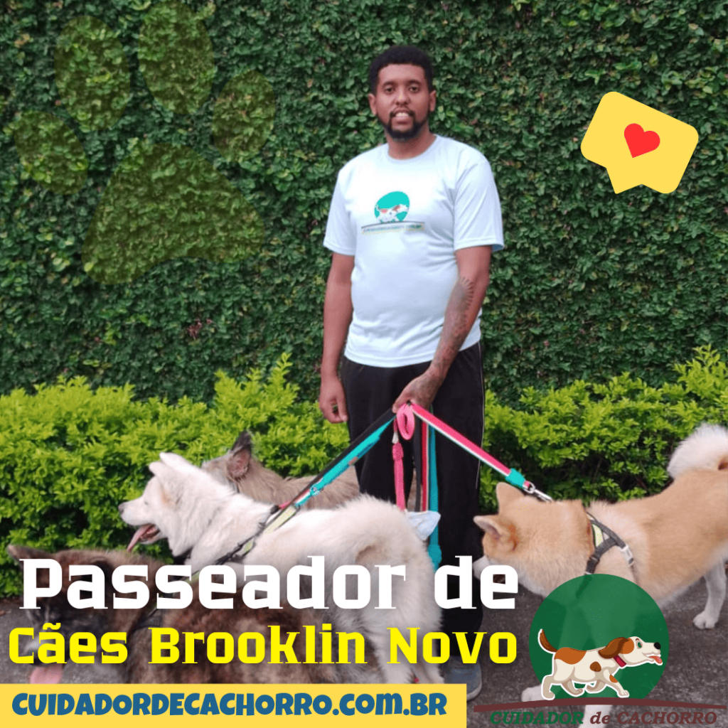 Passeador de Cães Brooklin Novo