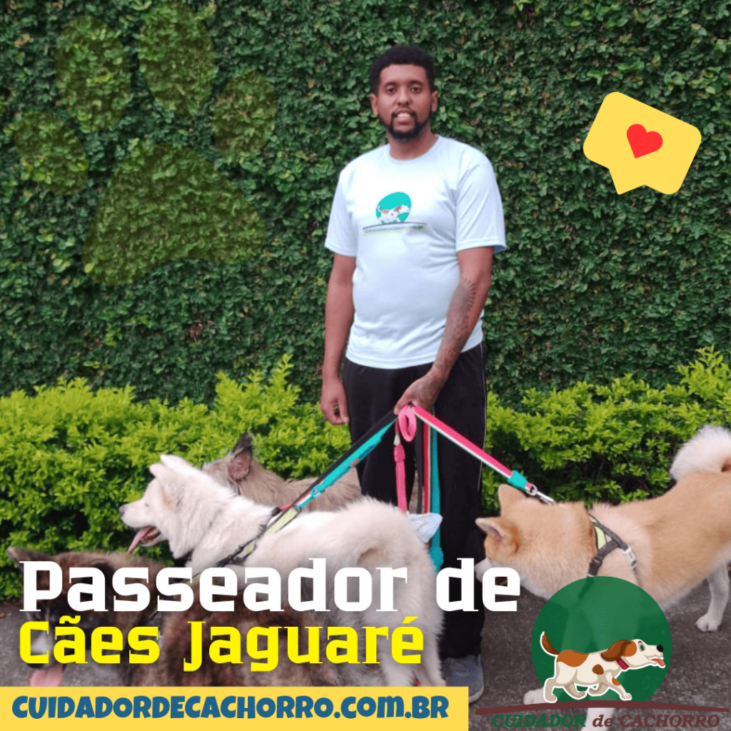Passeador de Cães Jaguaré