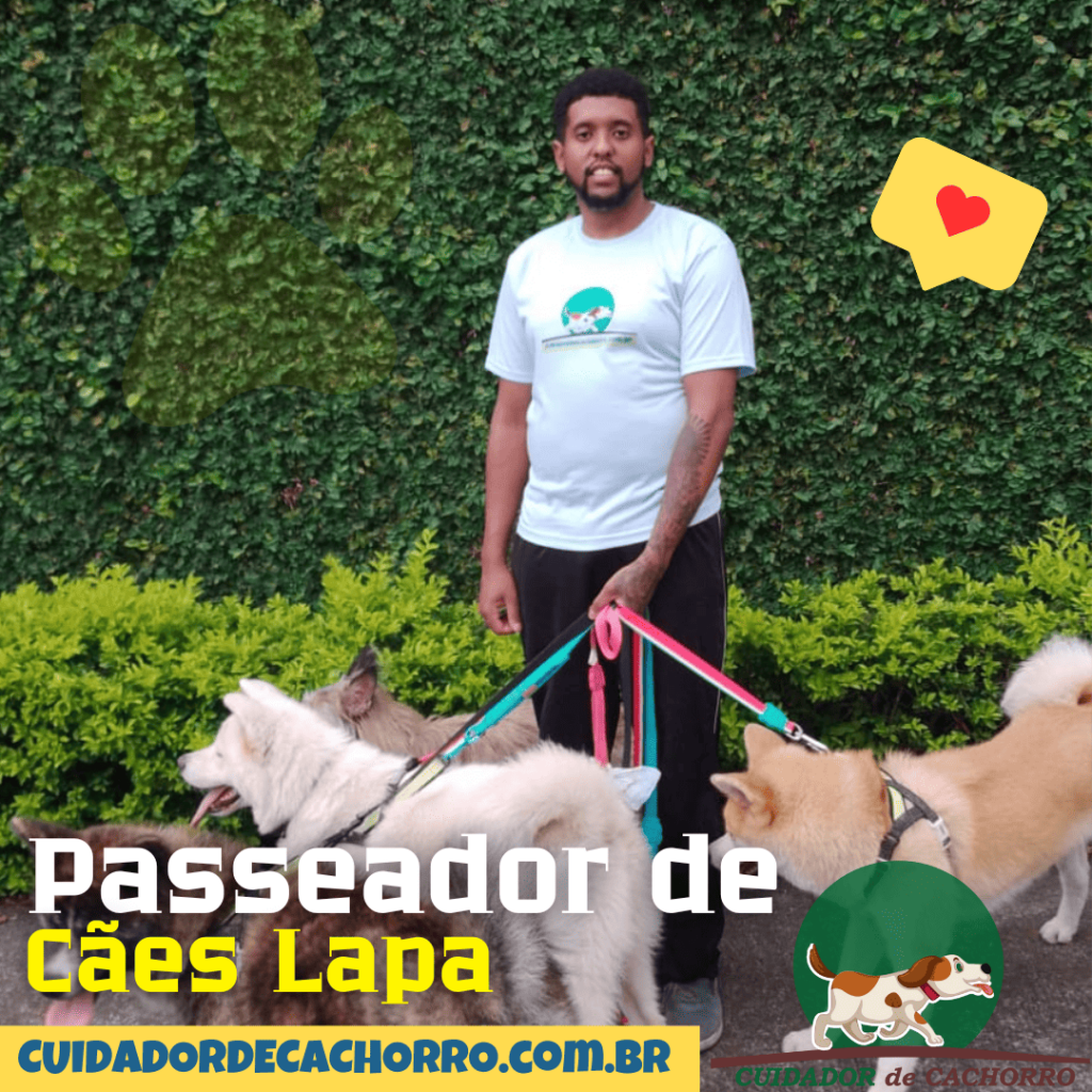 Passeador de Cães Lapa