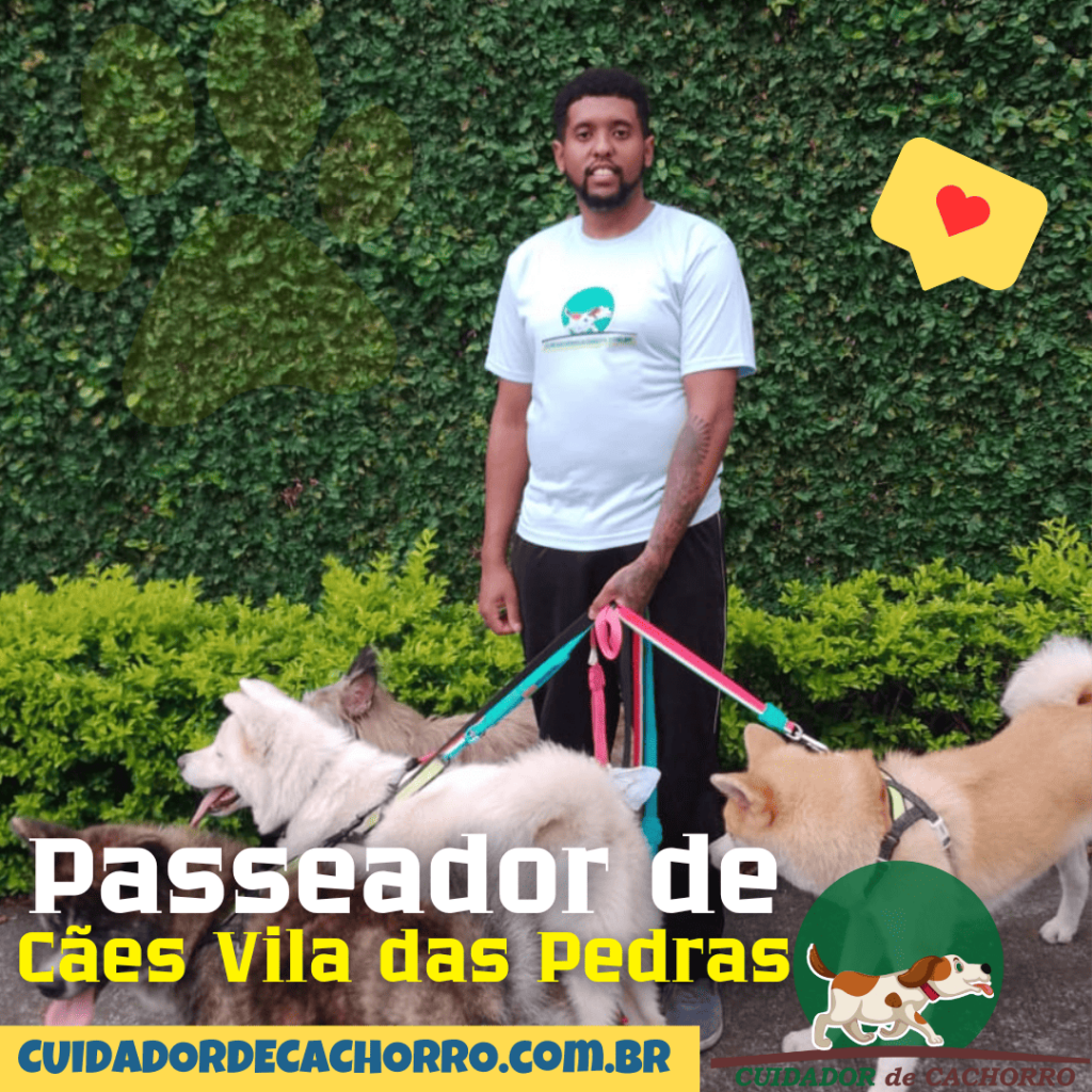 Passeador de Cães Vila das Pedras