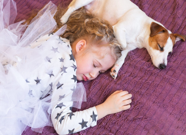 cachorro dormindo na cama com uma criança