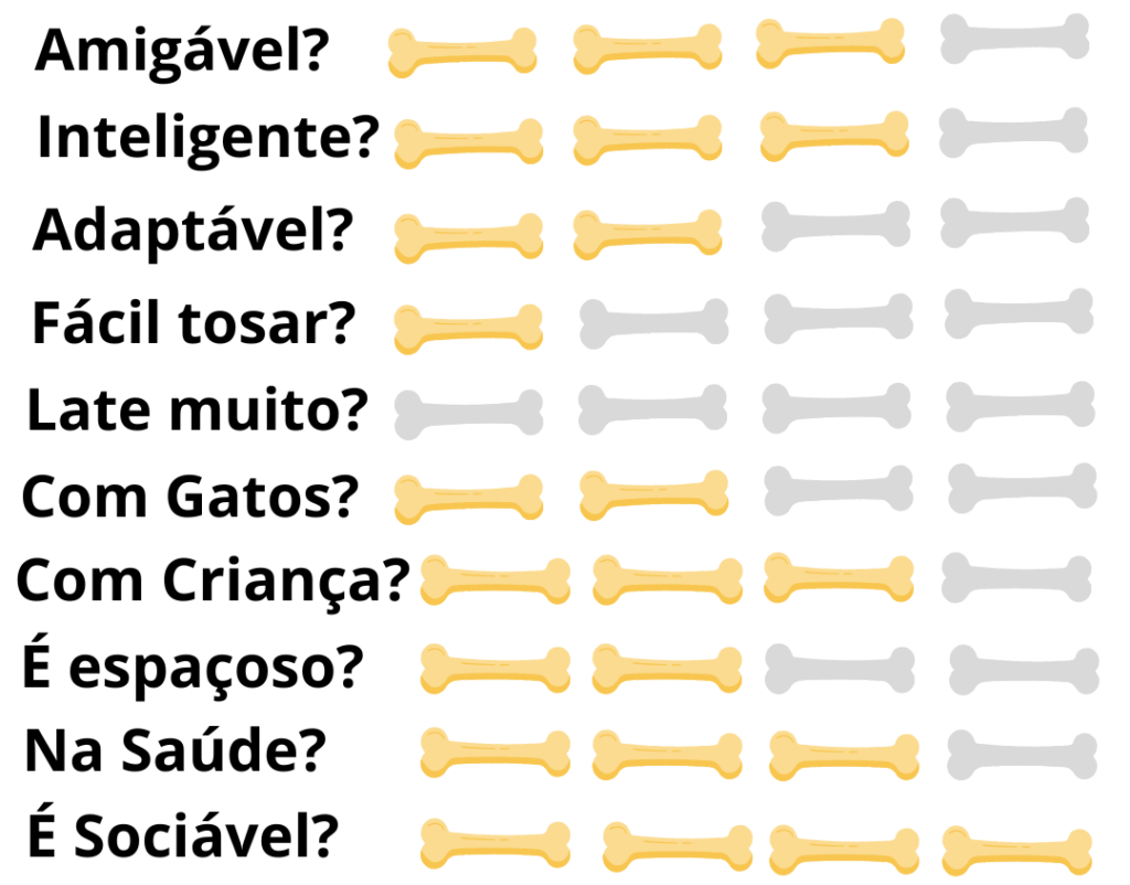 Caracteristicas-Fisicas-Cachorro-Pointer-Inglês