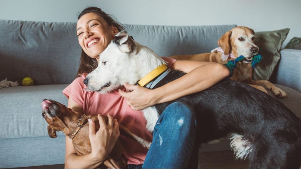 Mulher com vários cachorro felizes no sofá