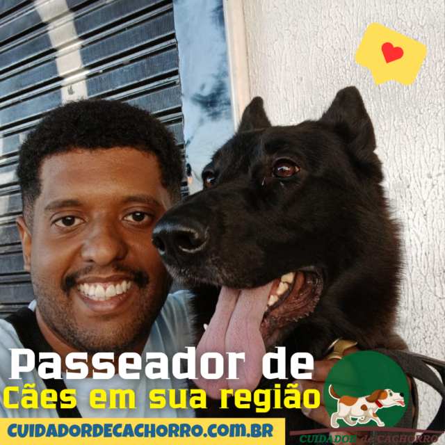 Passeador de Cães - Cuidador de Cachorro