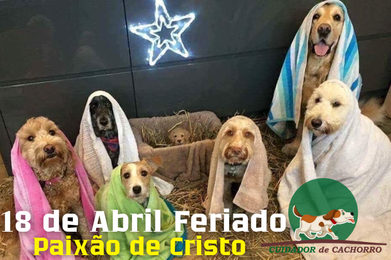 Feriado de Paixão de Cristo com Seu Cachorro
