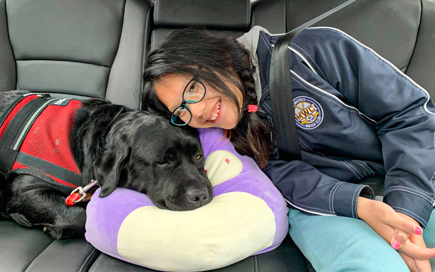Benefícios dos cães de assistência para famílias com crianças autistas