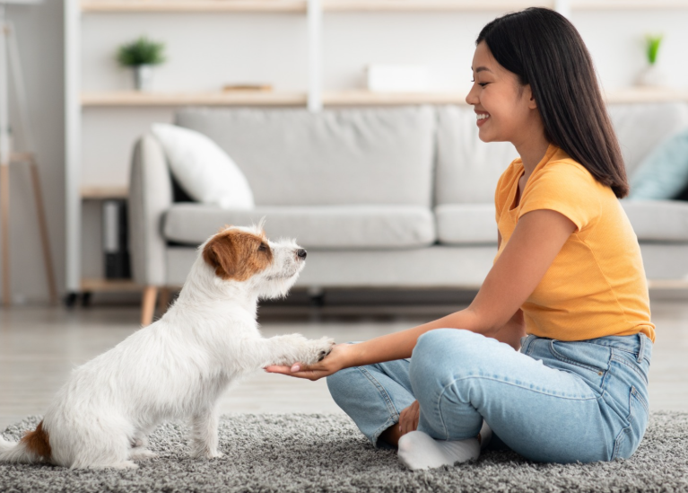 Cachorro dando patinha para dona