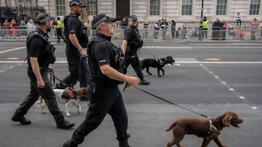 Cães Policiais e de Resgate