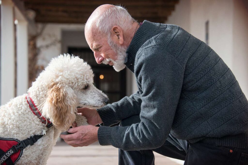 Cães de terapia para melhorar a saúde mental e física