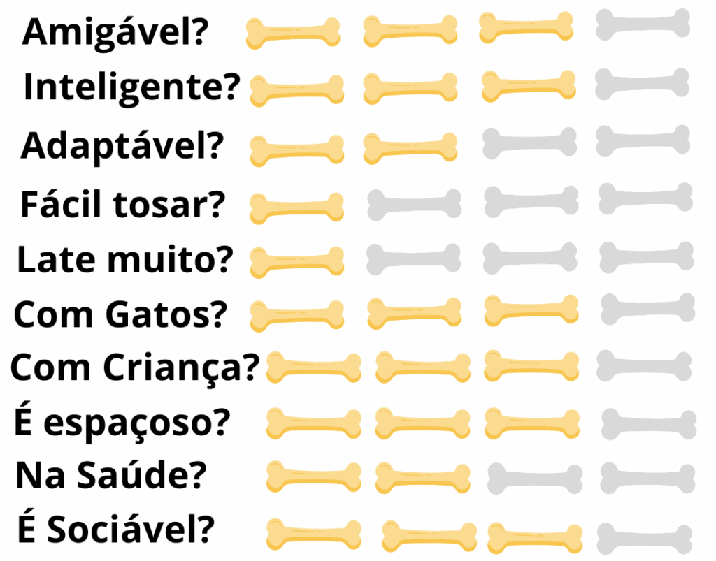 Caracteristicas-Fisicas-Cachorro-Barbet