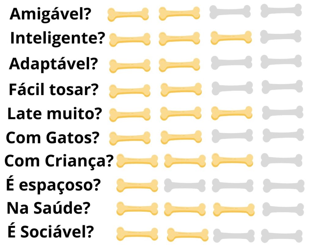 Caracteristicas-Fisicas-Cachorro-Fox-Terrier