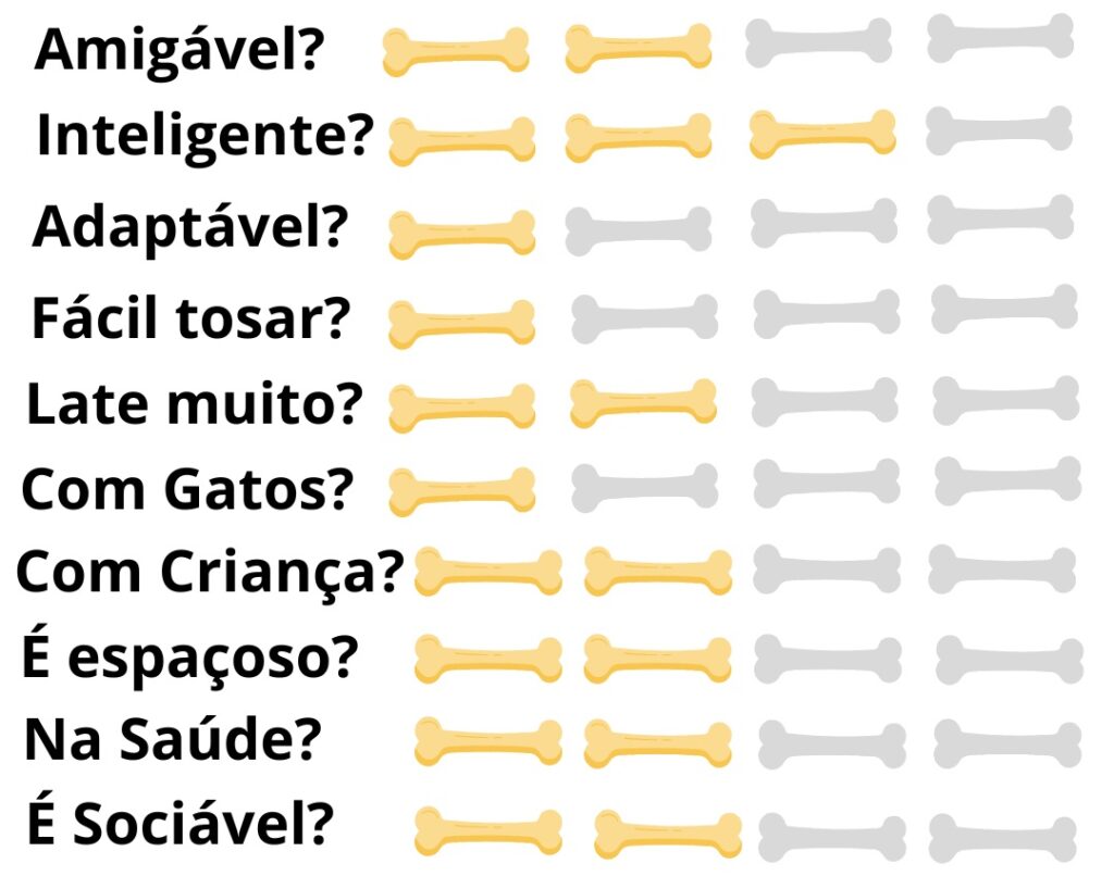 Caracteristicas-Fisicas-Cachorro-Komondor