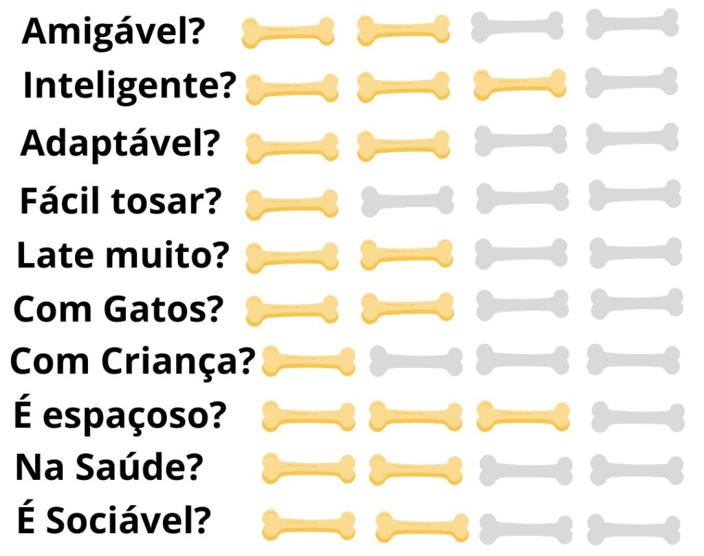 Caracteristicas-Fisicas-Cachorro-Kuvasz