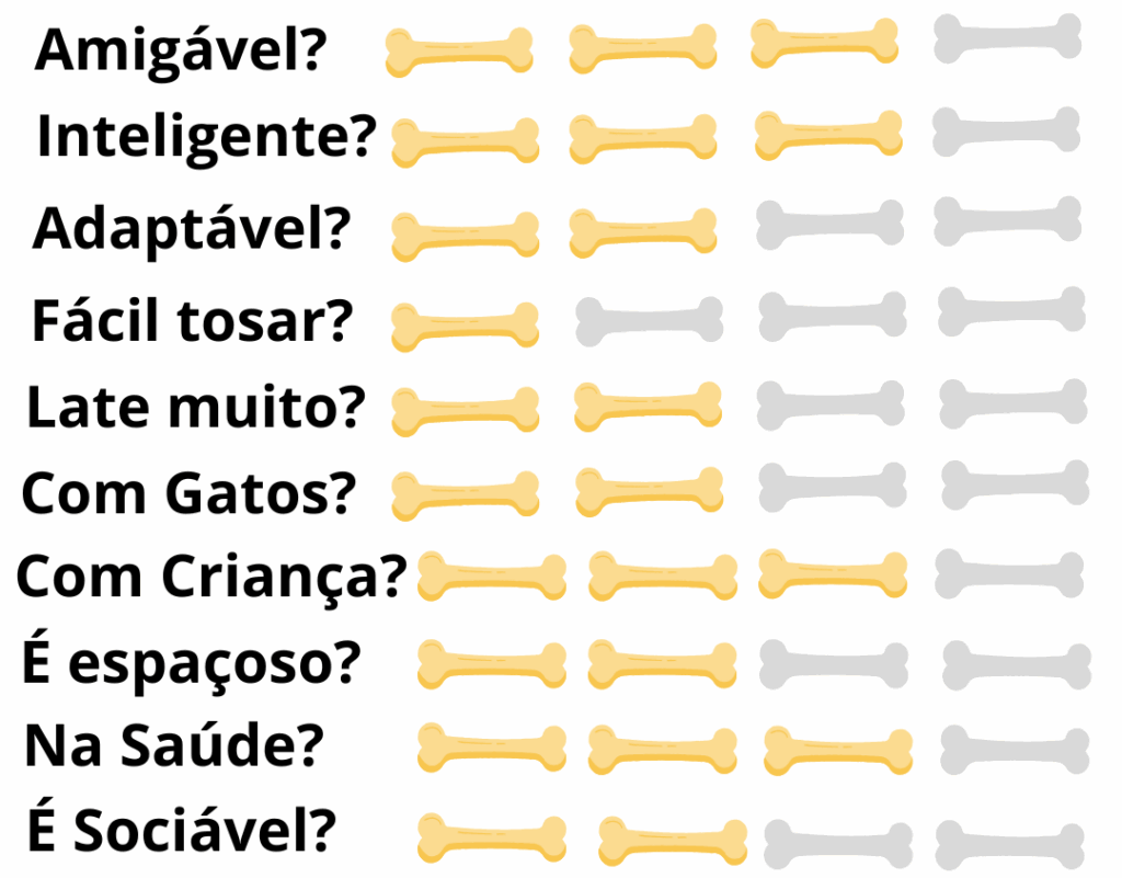 Caracteristicas-Fisicas-Cachorro-Schnauzer-Gigante
