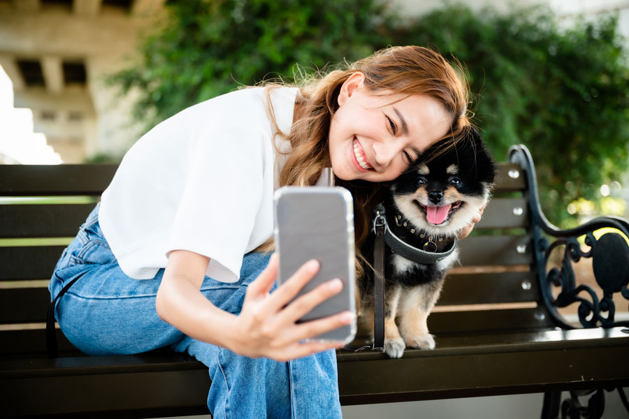 Como tirar fotos do seu pet se ele não para quieto