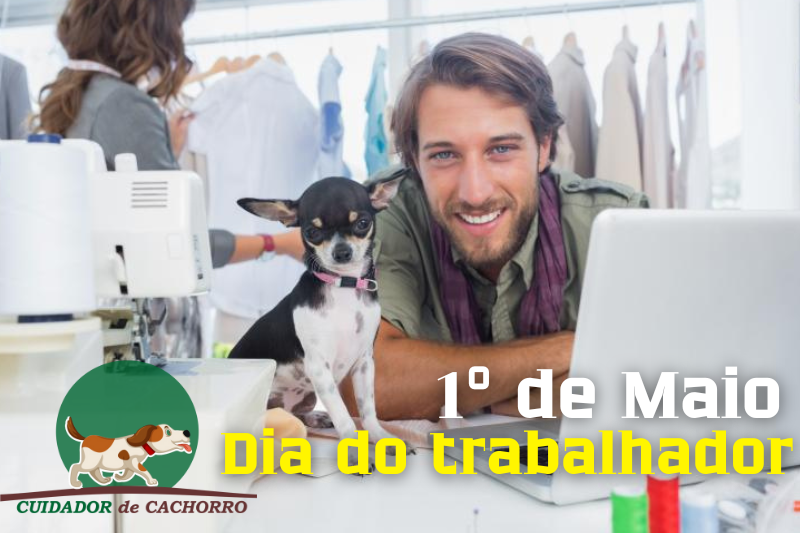 Dia do Trabalhador e dos Cães 1 de maio