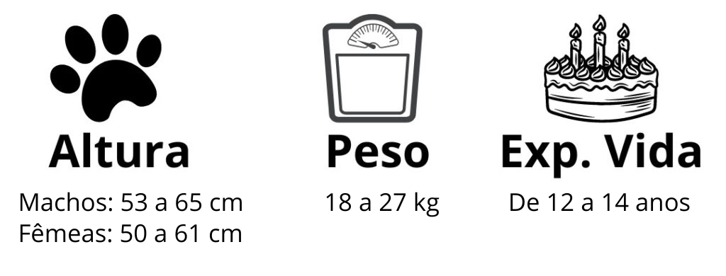 Expectavida-de-Vida-Cachorro-Barbet