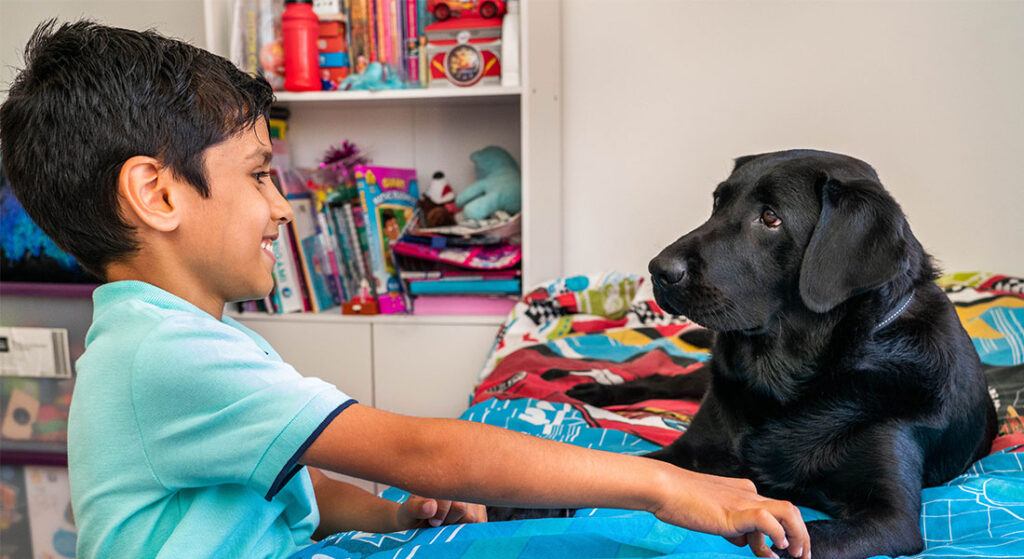O papel dos cães de assistência na vida de autistas