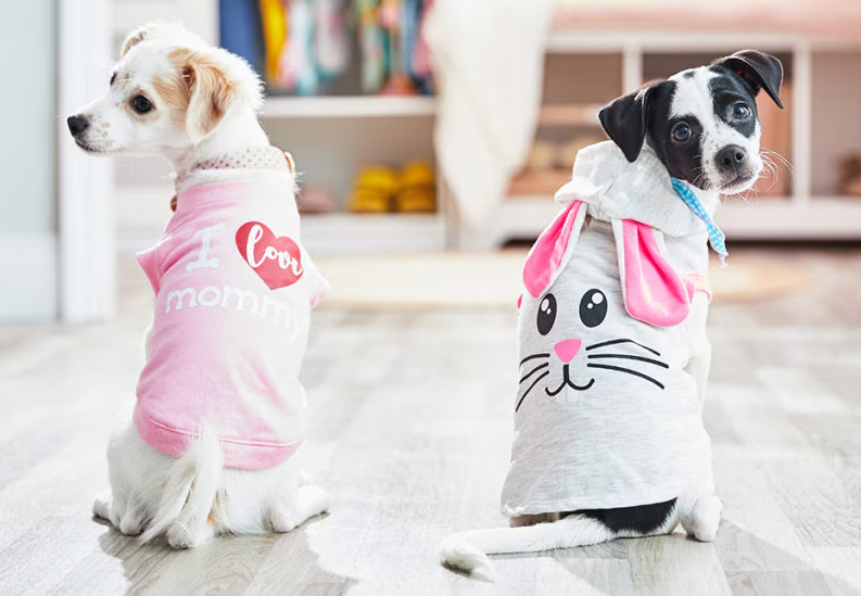 Roupas para cachorro estiloso